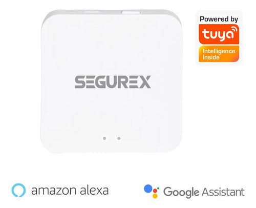 Gateway - Adaptador Wifi Segurex GY-TYZ SE