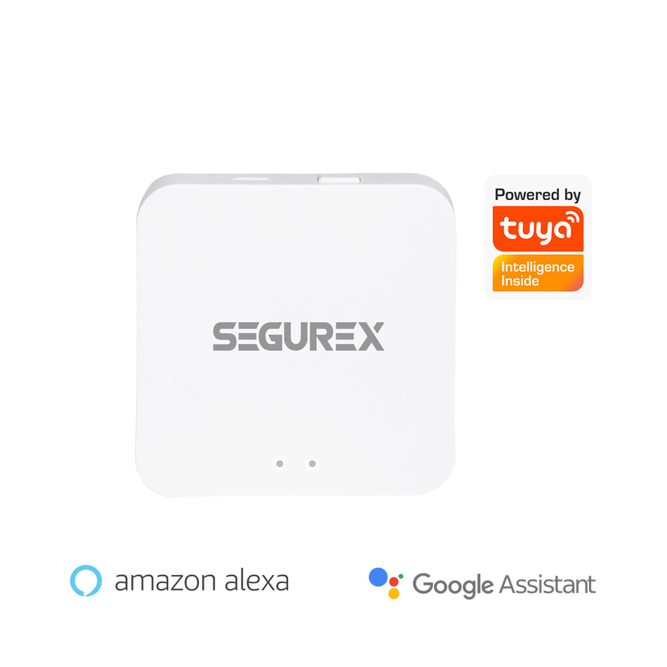 Gateway - Adaptador Wii Segurex GY-TYZ SE