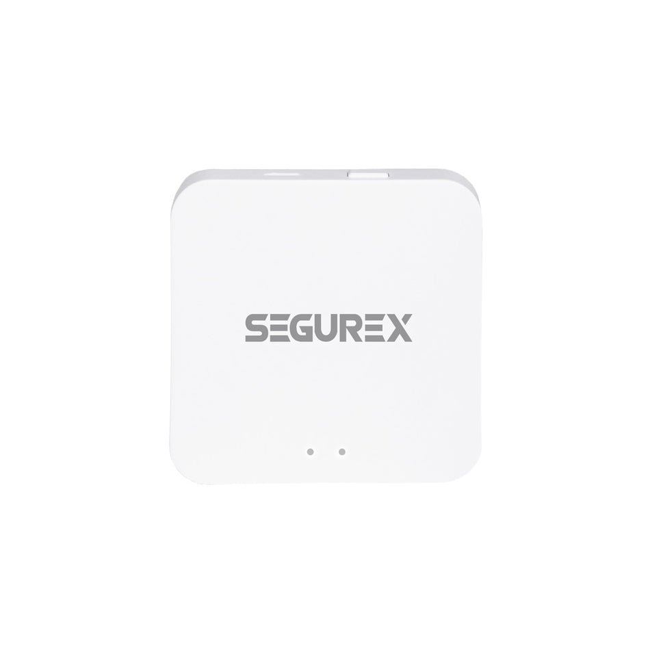 Gateway - Adaptador Wii Segurex GY-TYZ SE